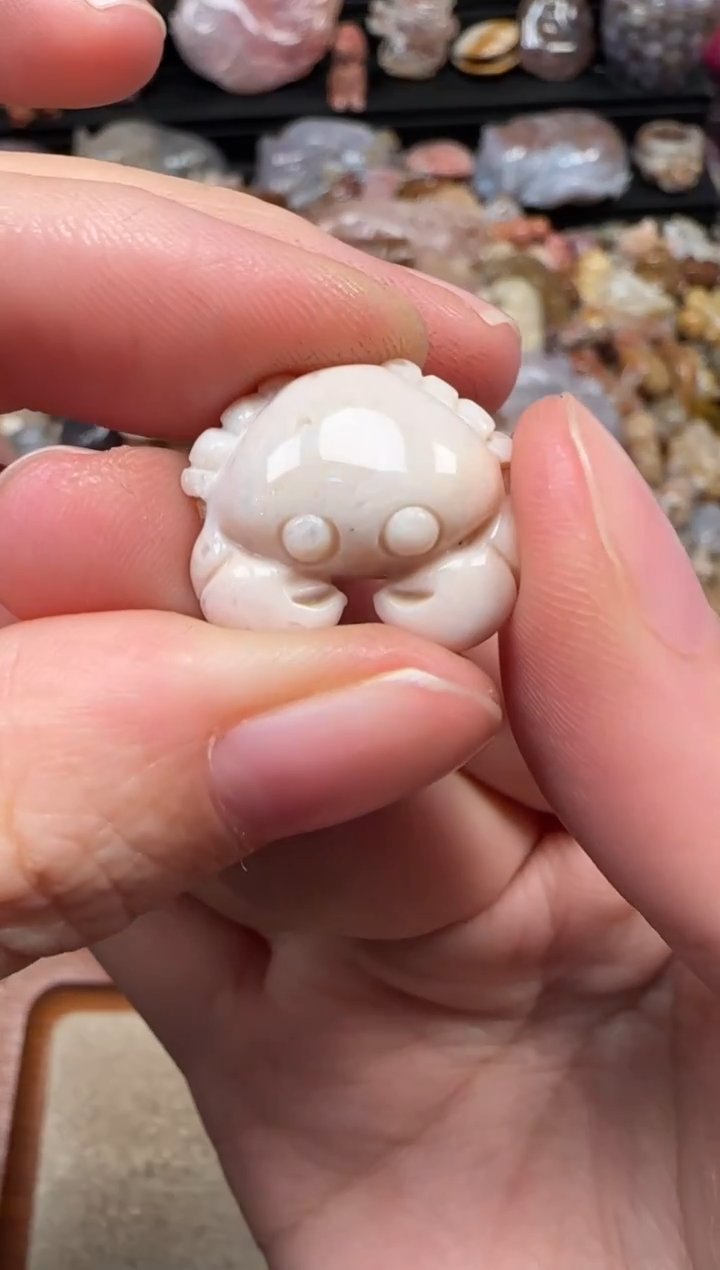 颈饰未镶嵌硅化珊瑚（珊瑚玉）354