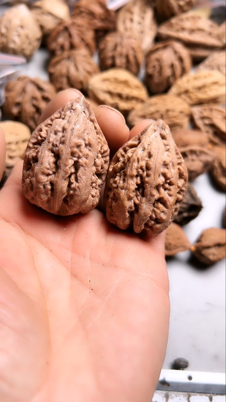 核桃东北野生大秋子7