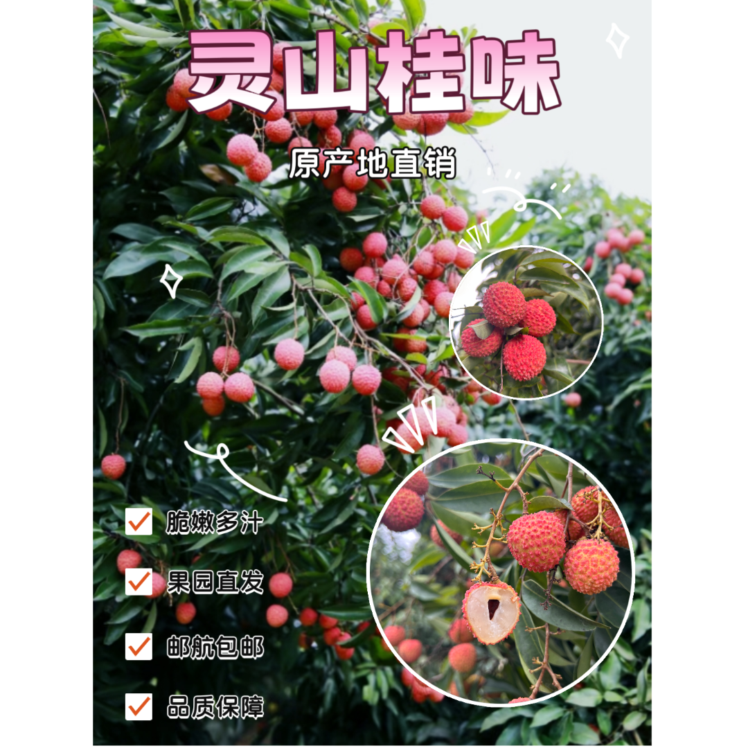 （广西区内包邮）灵山桂味荔枝EMS到家