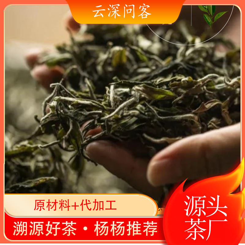 云深问客南迫500克普洱茶紧压茶普洱茶叶散茶