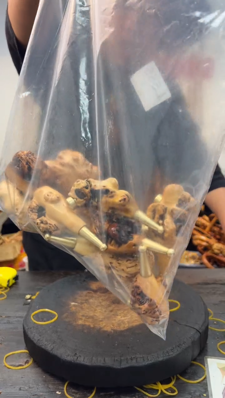 黑果木其他黑果木753