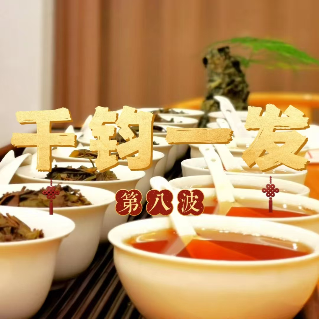 年终大促【千钧一发8】 武夷岩茶*惊喜组合