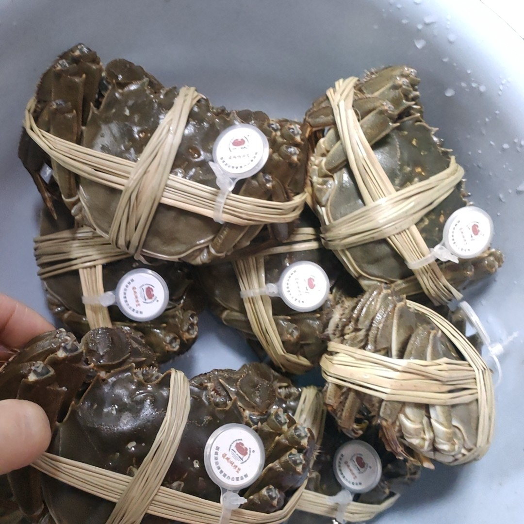 (活蟹)固城湖大闸蟹公蟹5两10只母蟹4两10只