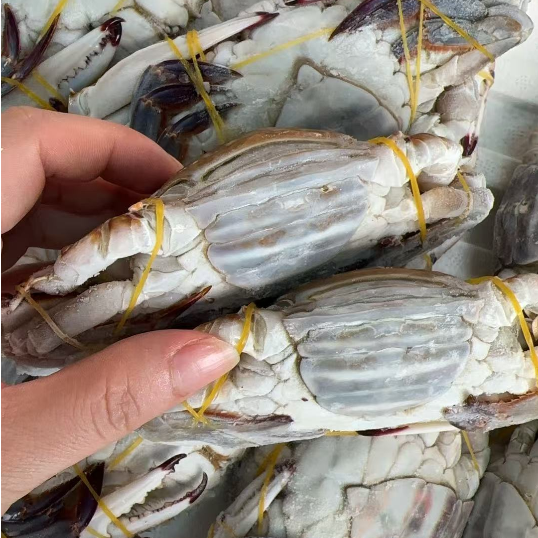 【冻蟹】舟山野生海捕梭子蟹大肉母蟹 舟山发货顺丰冷链次日达 4两左右/只 净重4斤以上 到手12只