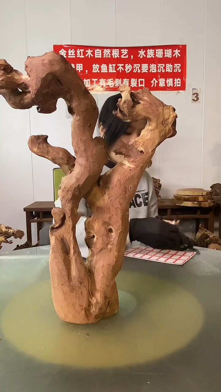 木a*国金丝红木  羊蹄甲