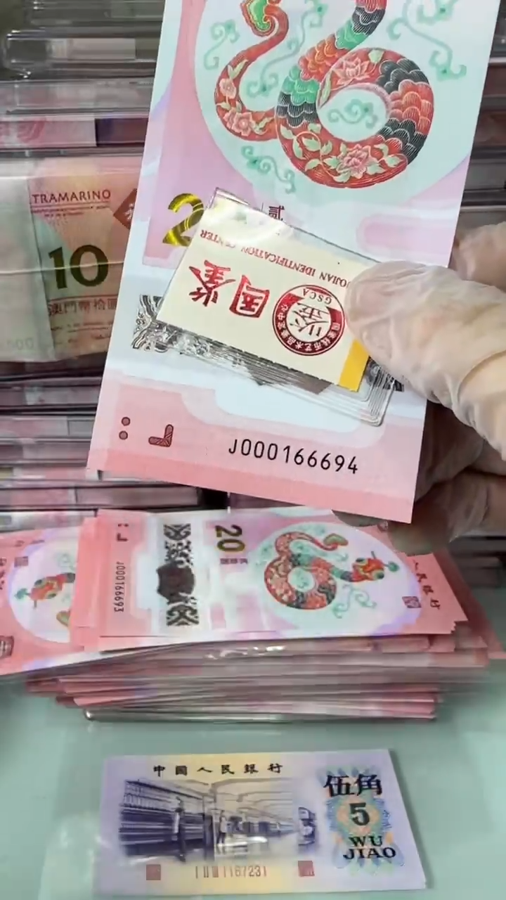 【闪购商品】塑料000166694-蛇钞单张！