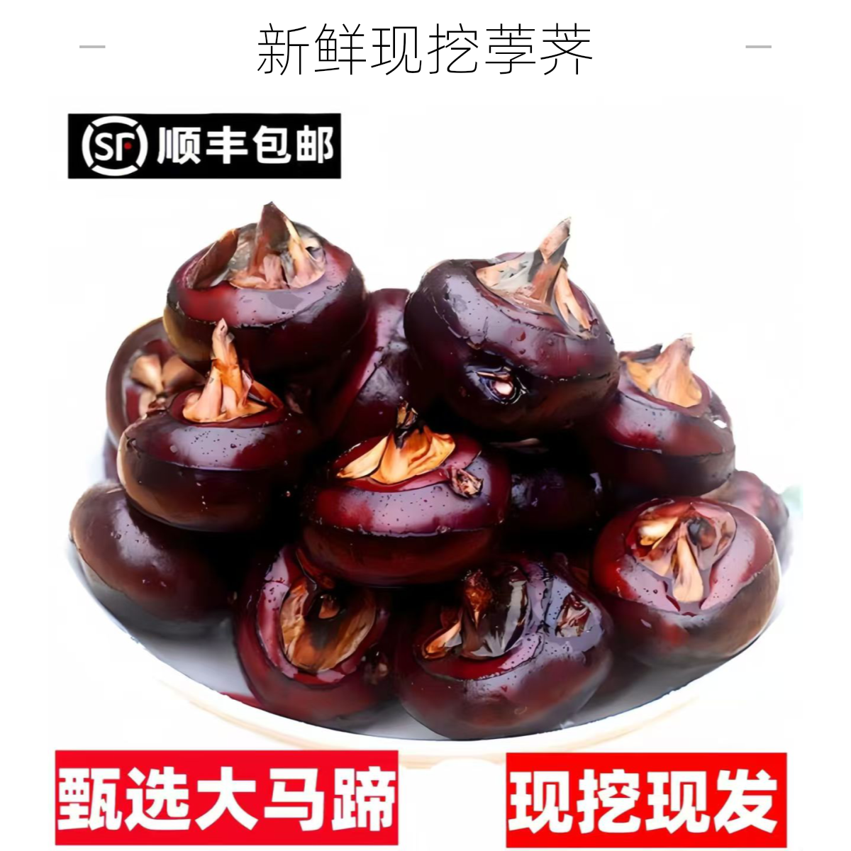 安徽无为新鲜免水洗马蹄荸荠清甜多汁现挖现发【顺丰包邮】马蹄荸荠