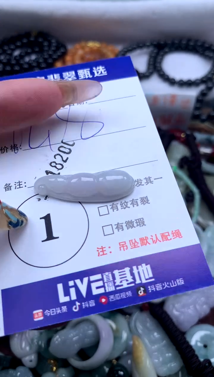 颈饰未镶嵌翡翠1