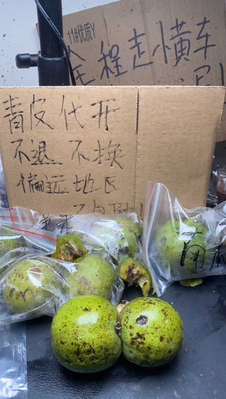不退不换ZWF四座楼10