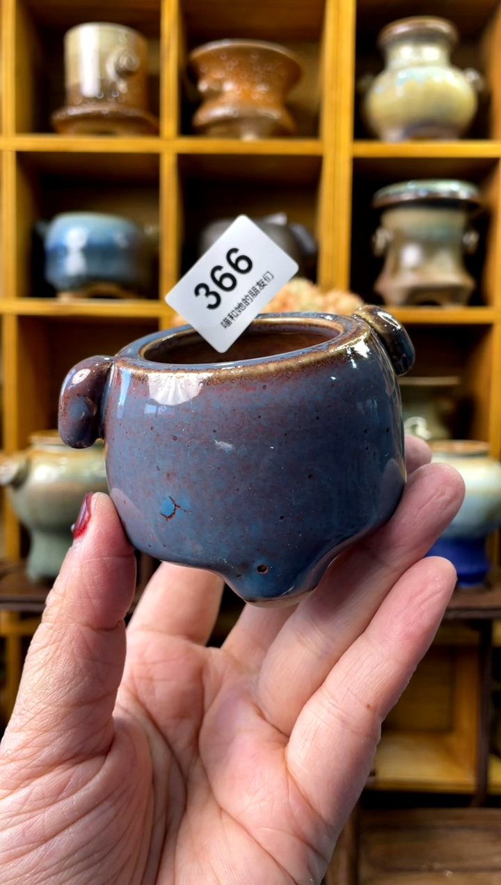 【闪购商品】陶366 内口4.5【喵喵团圆多肉盆】