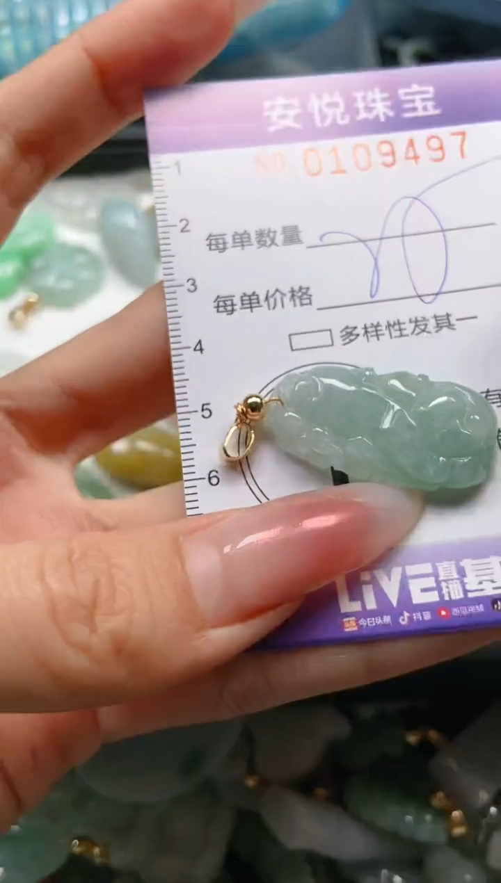【闪购商品】翡翠颈饰未镶嵌闪购0109497