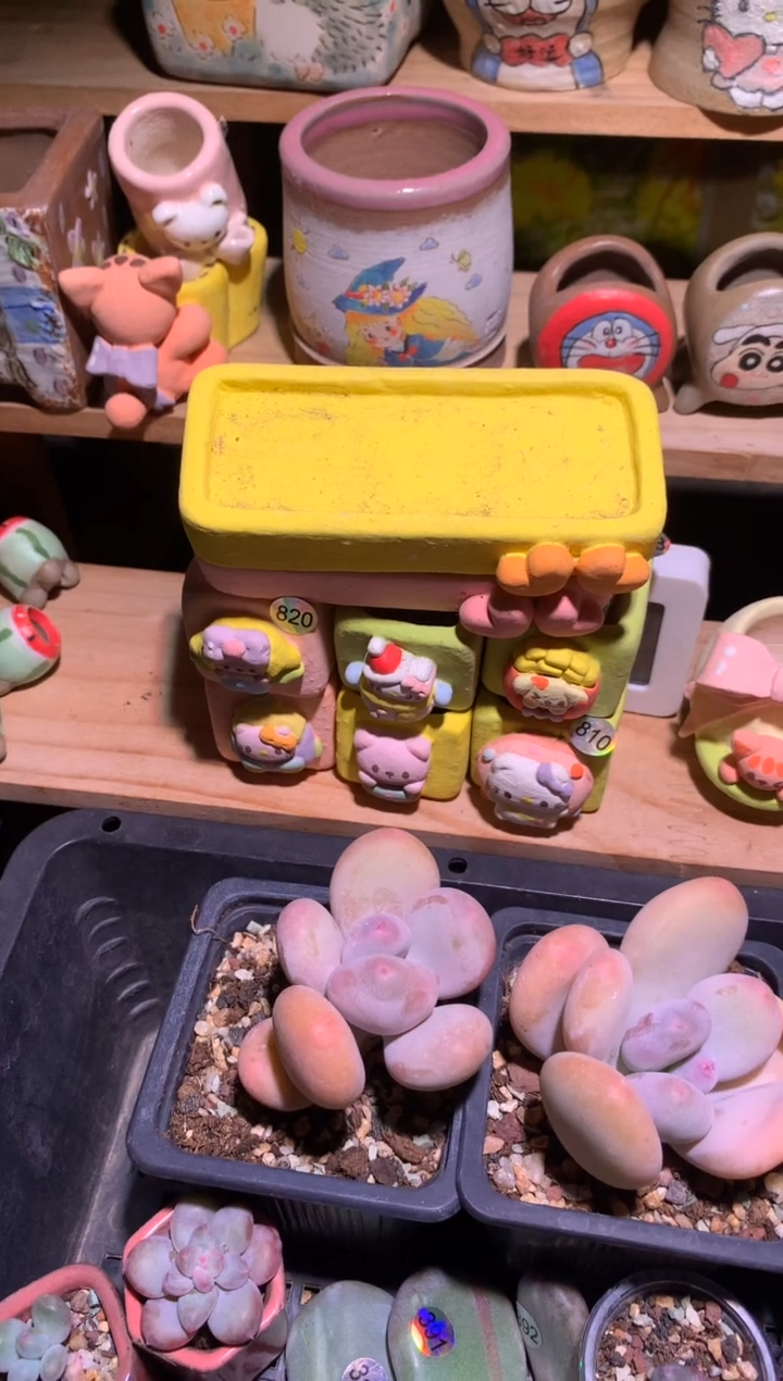 6个小花盆送俩托盘