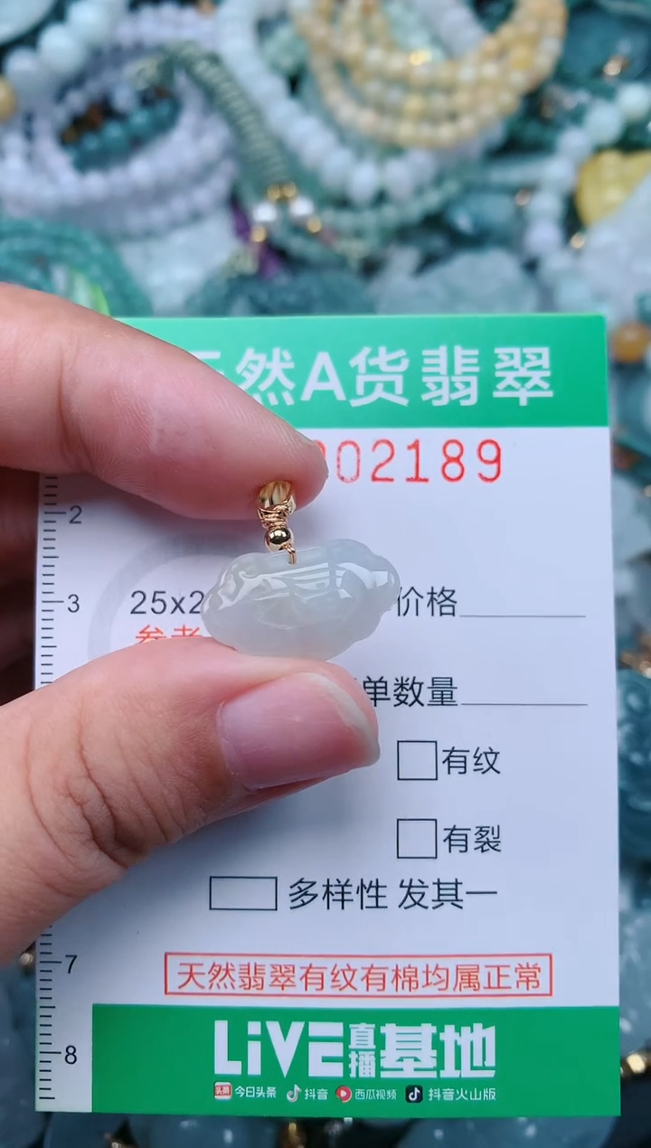 颈饰未镶嵌翡翠.0002189