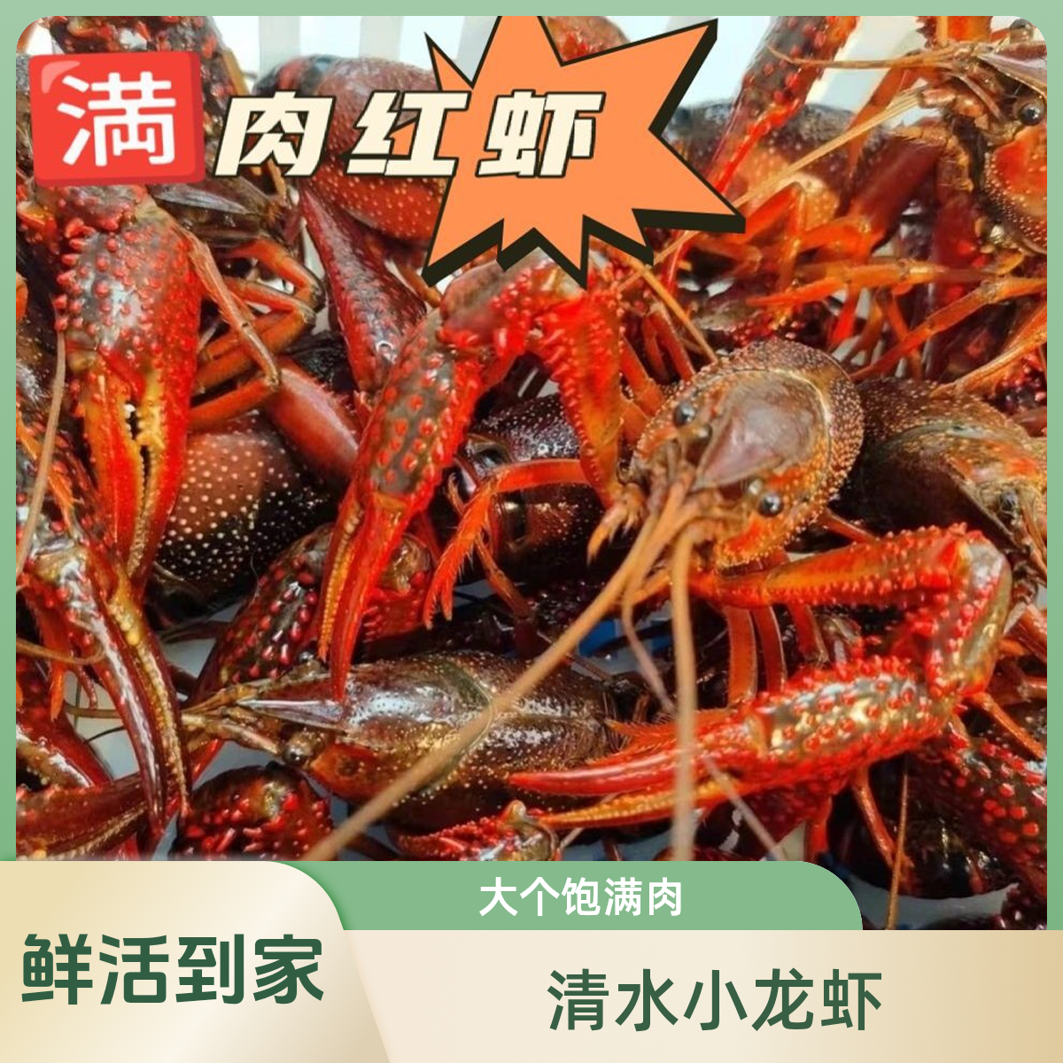 鲜活清水小龙红炮1斤(9-10只)/3斤起送/规格1两/包8公里配送费/包称包满肉包活到家