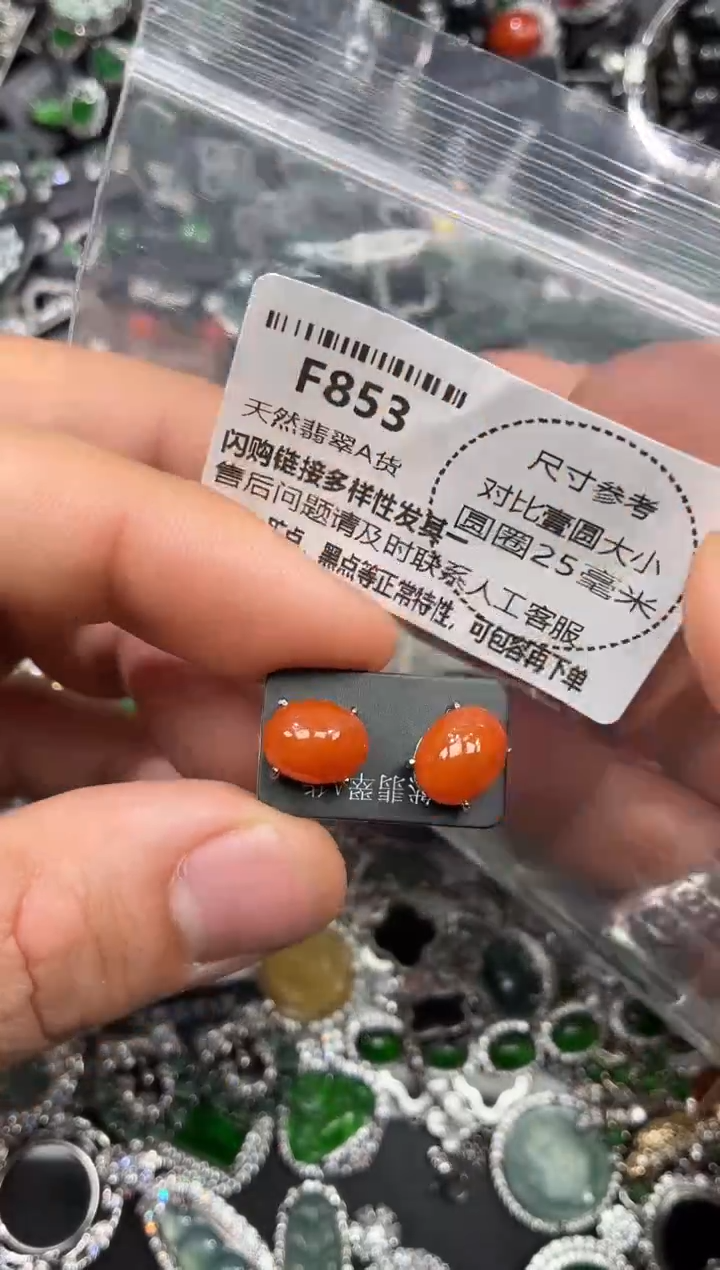 颈饰未镶嵌翡翠F853耳钉