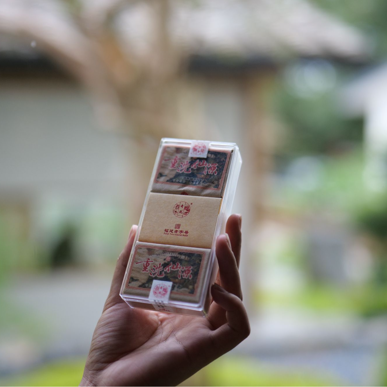 水帘洞老枞水仙重洗仙源