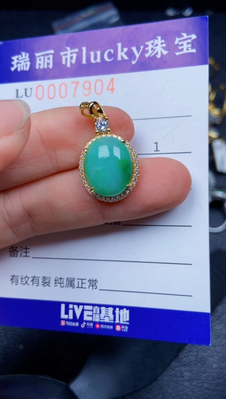 【闪购商品】翡翠颈饰银S925镶嵌7904