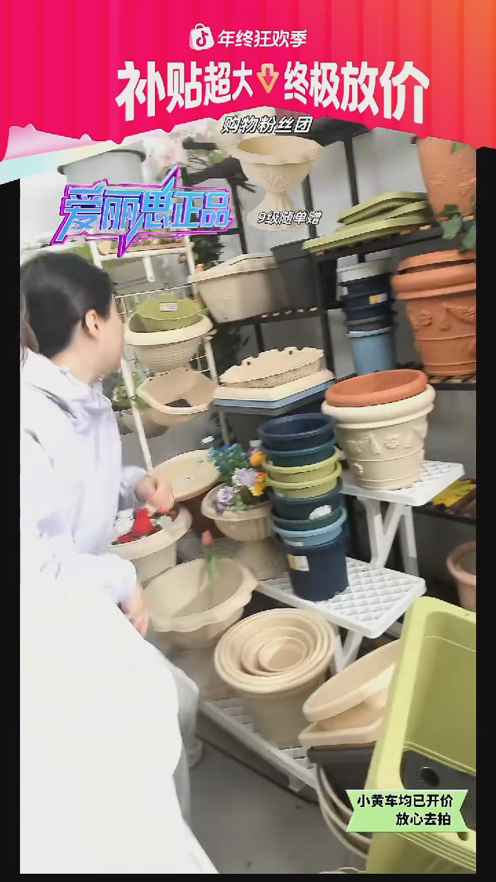 爱丽思WS900花架全新白色款