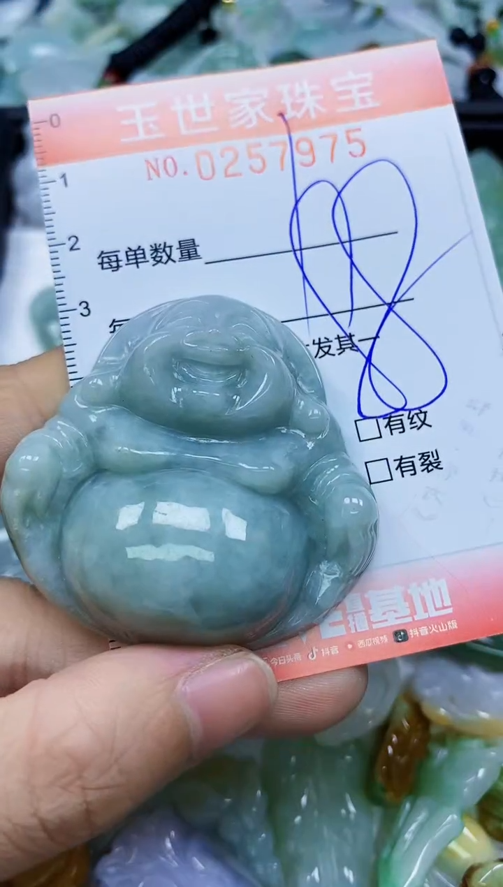 翡翠未镶嵌颈饰闪购0257975