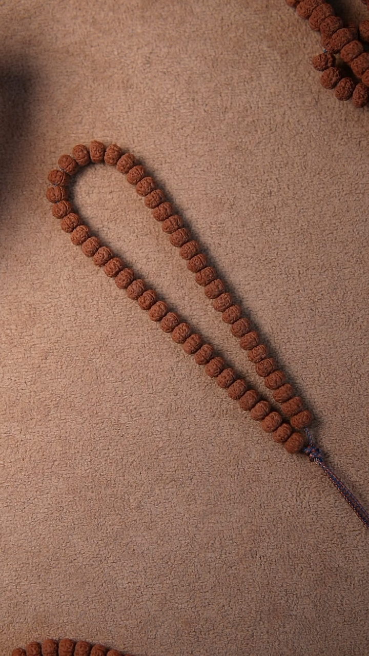 手串金刚菩提我****完老树王