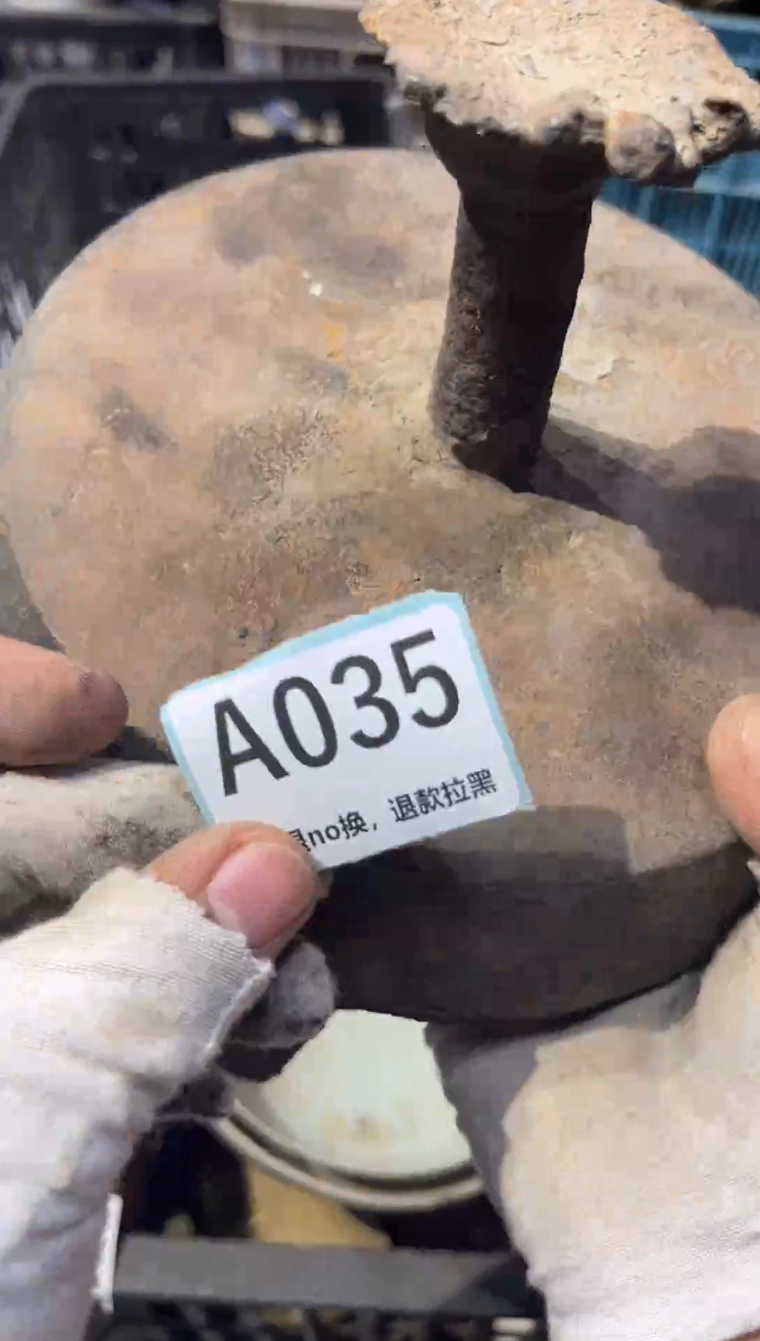 陶瓷芭*?表弟直播链接火爆热卖