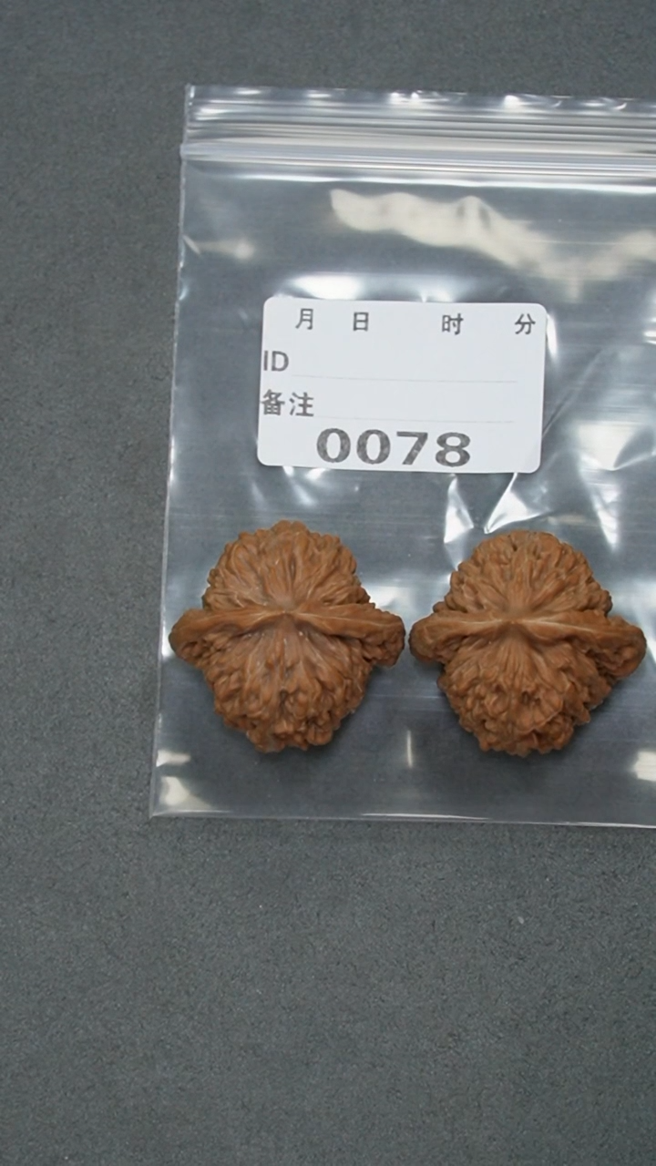 【闪购商品】文玩核桃把件40北京楼