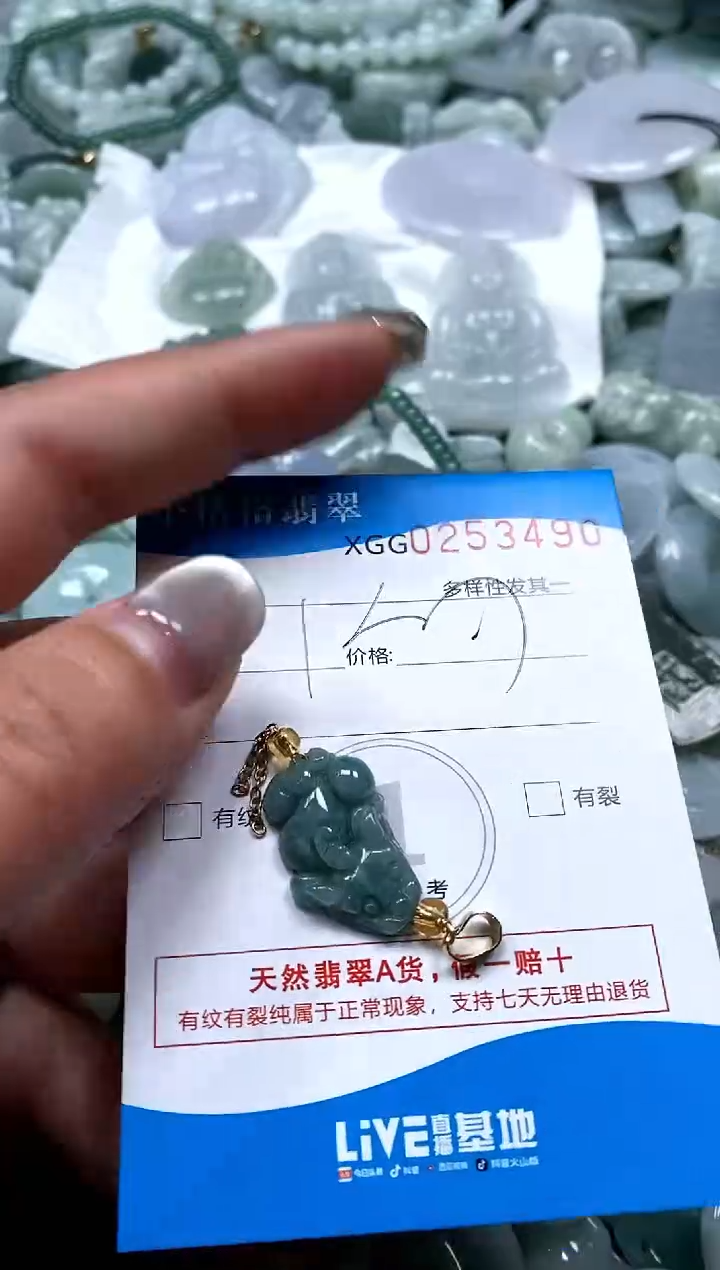 翡翠未镶嵌颈饰闪购商品0253490
