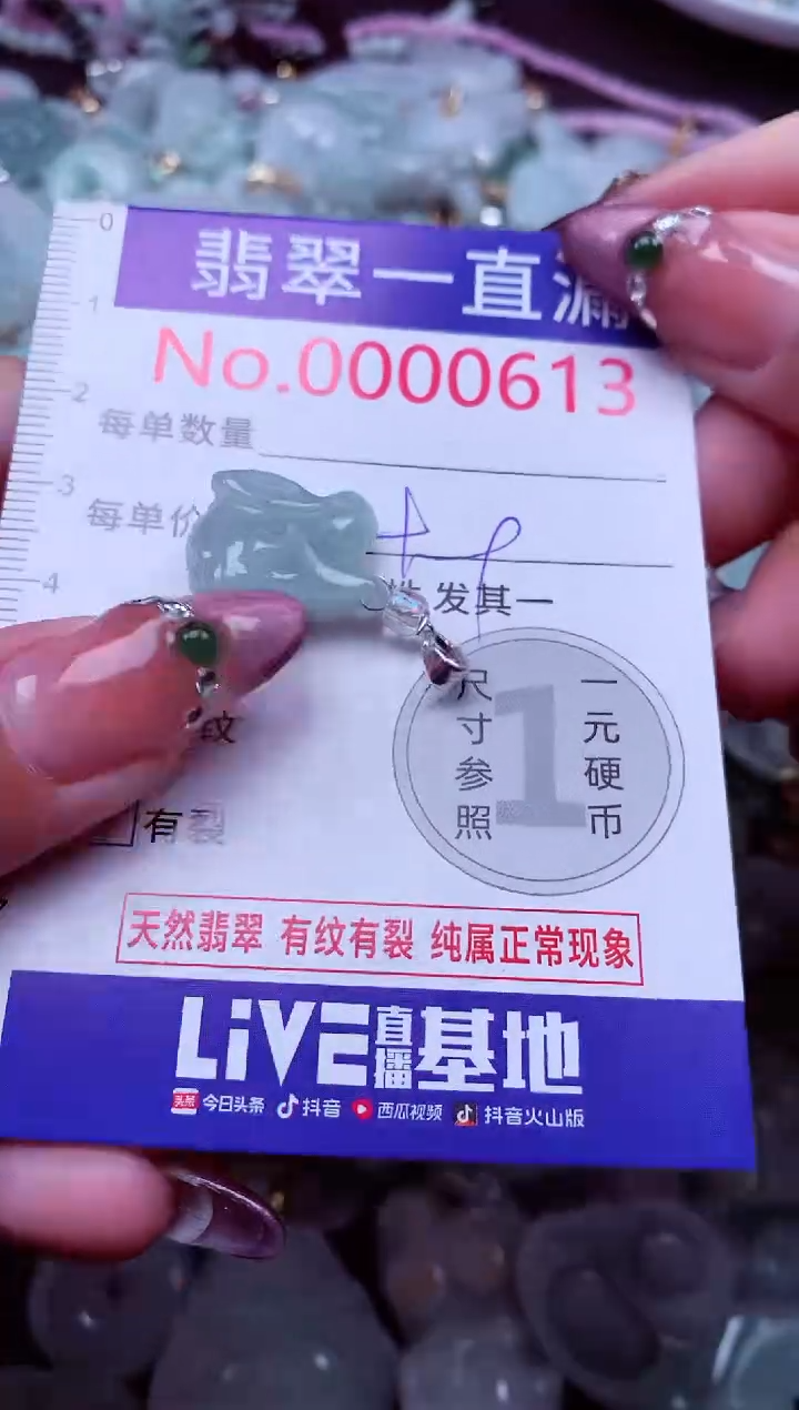 颈饰未镶嵌翡翠613