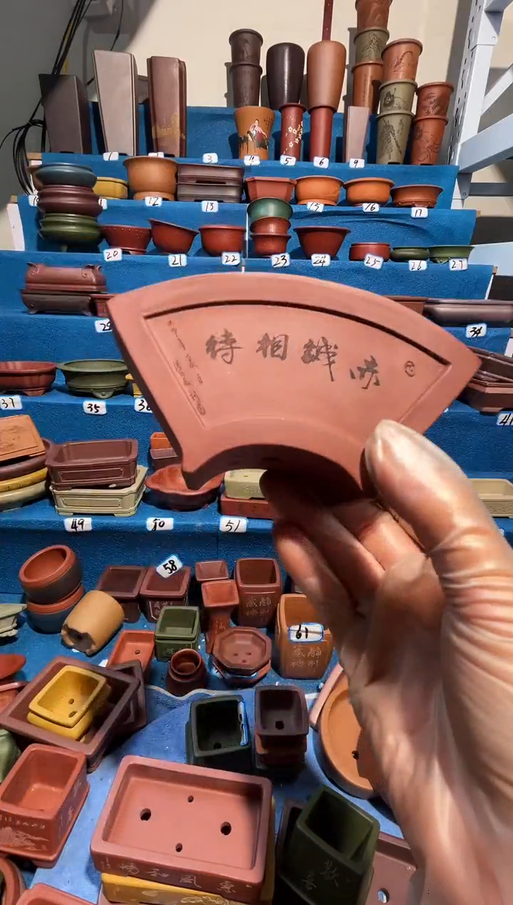 【闪购商品】紫砂紫砂花盆11*4.5*5