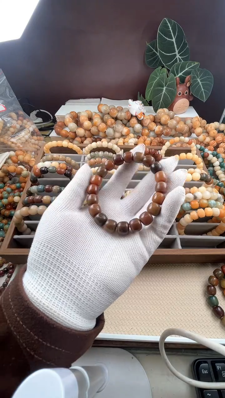 【闪购商品】菩提根/象牙果吊坠w737卡11.5