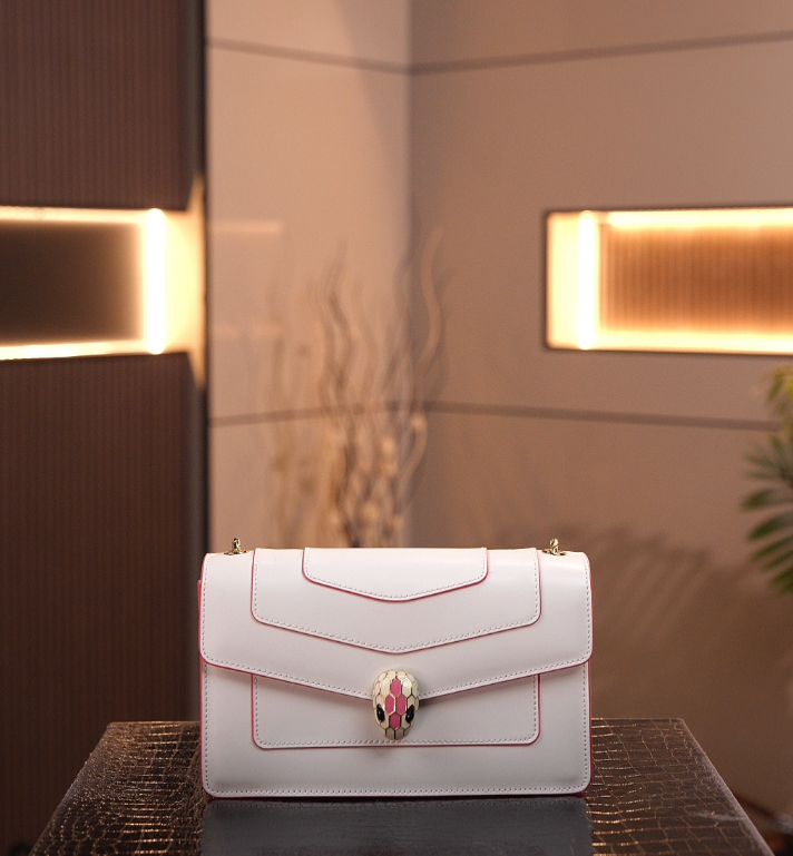 (全新未拆封）轻奢时尚高级经典潮流百搭女士包包 23*6.5*14