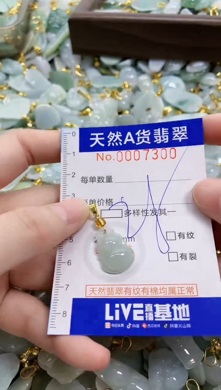 颈饰未镶嵌翡翠天然A货翡翠