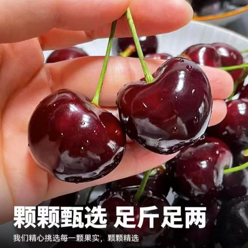 【顺丰次日达】智利海运2斤装净重车厘子桑提娜3J-5J内附果径卡桑提娜樱桃智利共和国