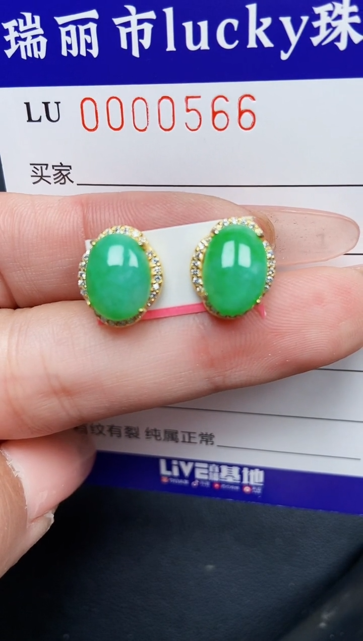 【闪购商品】翡翠颈饰银S925镶嵌0566