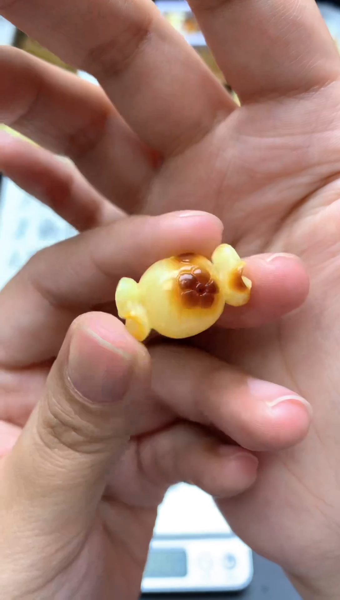 【闪购商品】琥珀珠宝奇石未镶嵌009琥珀蜜蜡