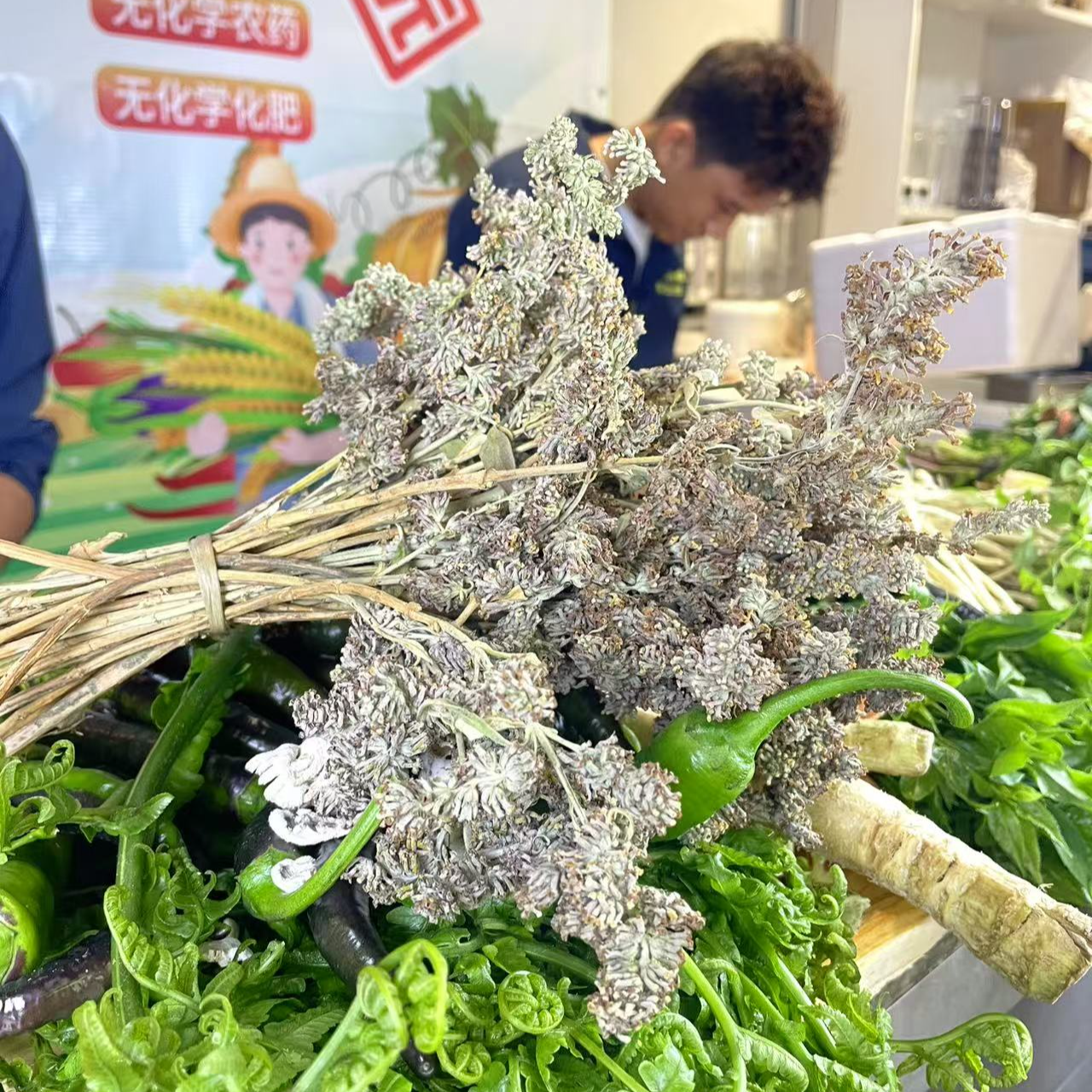 云南德宏芒市染饭花