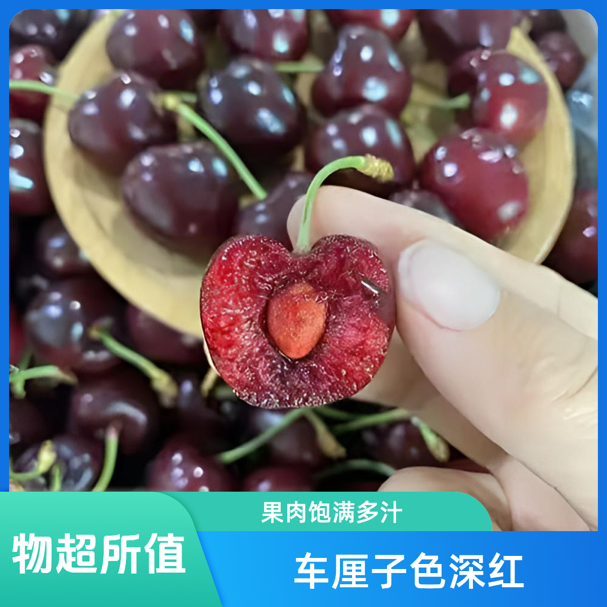 【丁果鲜生】海运车厘子XL.双JD.3JD.5JD车厘子净重10斤小蜜蜂.地球.老虎吉.桑提娜智利