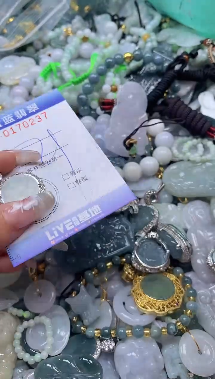 【闪购商品】翡翠颈饰未镶嵌闪购0170237