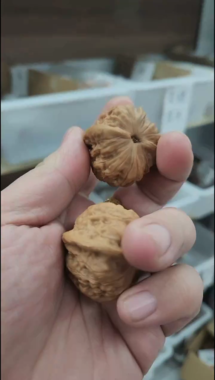 把件核桃【血麒麟】#39