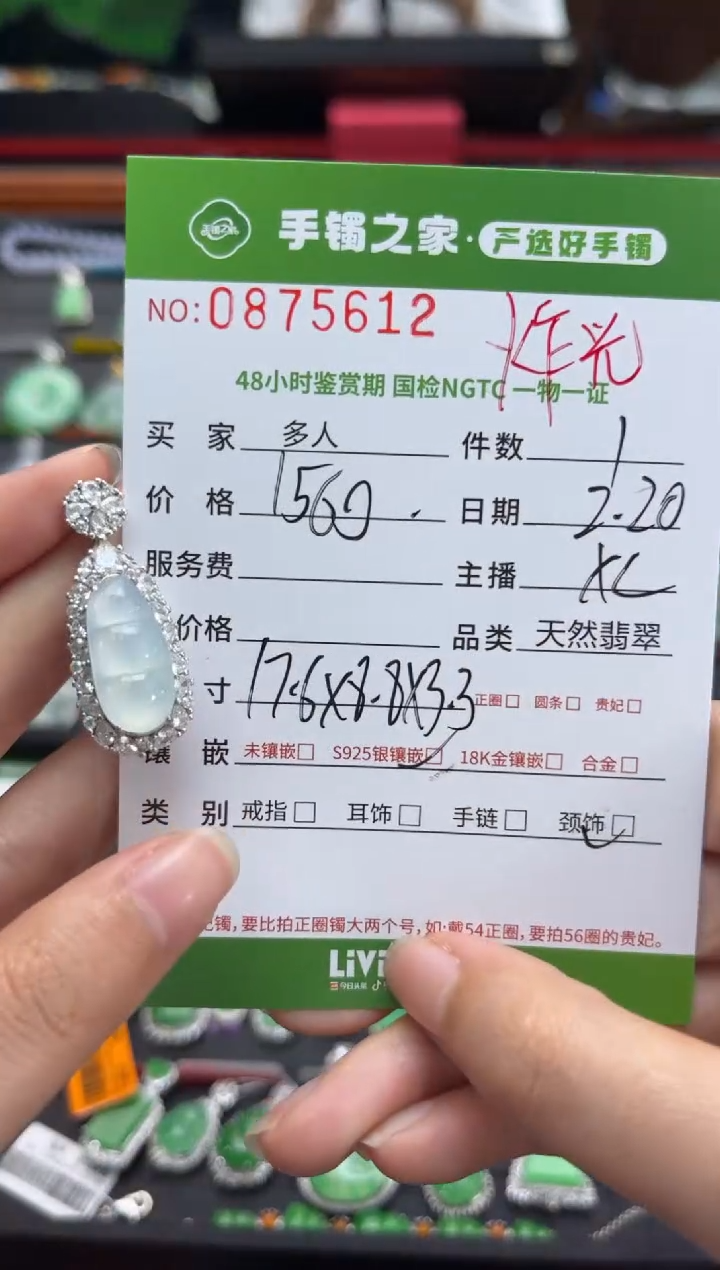 【闪购商品】翡翠颈饰银S925镶嵌多人