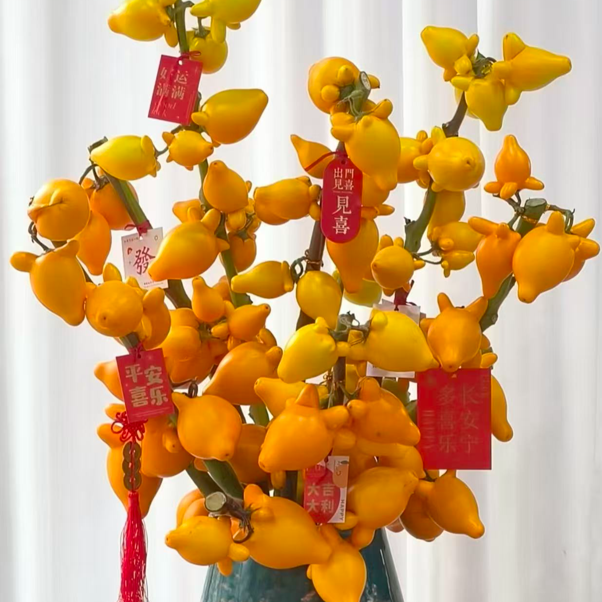【五代果/黄金果】桌面款鲜果真果绿植福禄果鲜花卉好养室内摆
