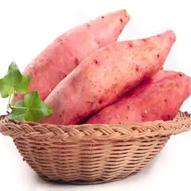 【散】蜜薯约500g±50g/份