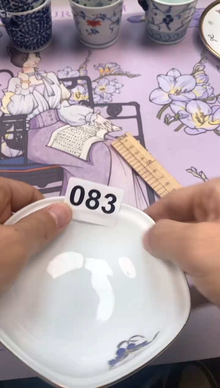 【闪购商品】瓷片都是我的大宝贝啊