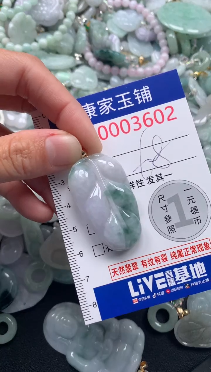 颈饰未镶嵌翡翠3602