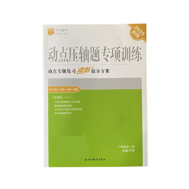 八年级动点压轴题专项训练宁浩数学新版（全一册）