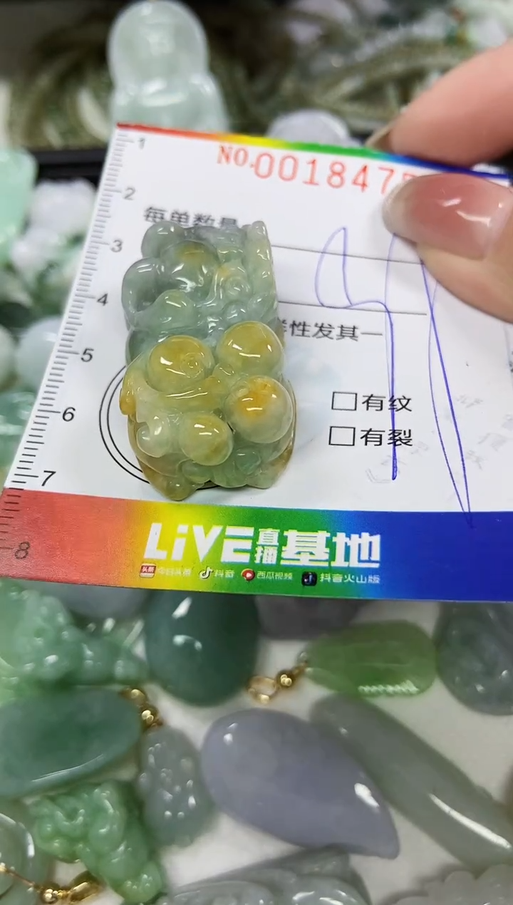 【闪购商品】翡翠颈饰未镶嵌闪购0018475