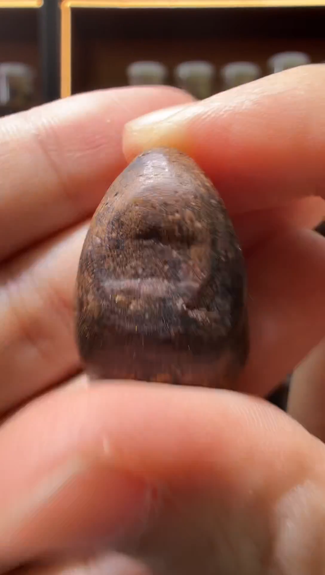 沉香吊坠101号芽庄多样性发一