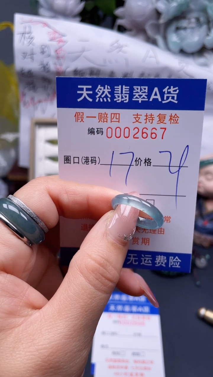 【闪购商品】翡翠戒指未镶嵌17*2667........