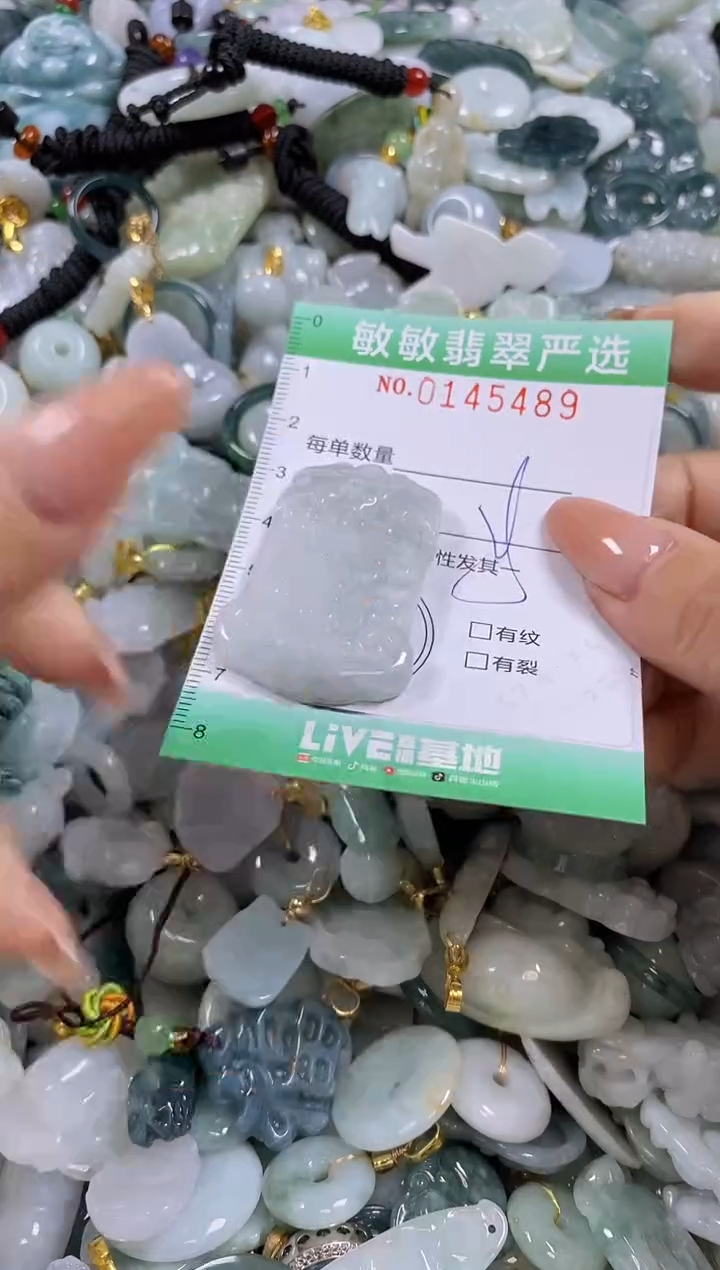 【闪购商品】翡翠未镶嵌颈饰闪购0145489