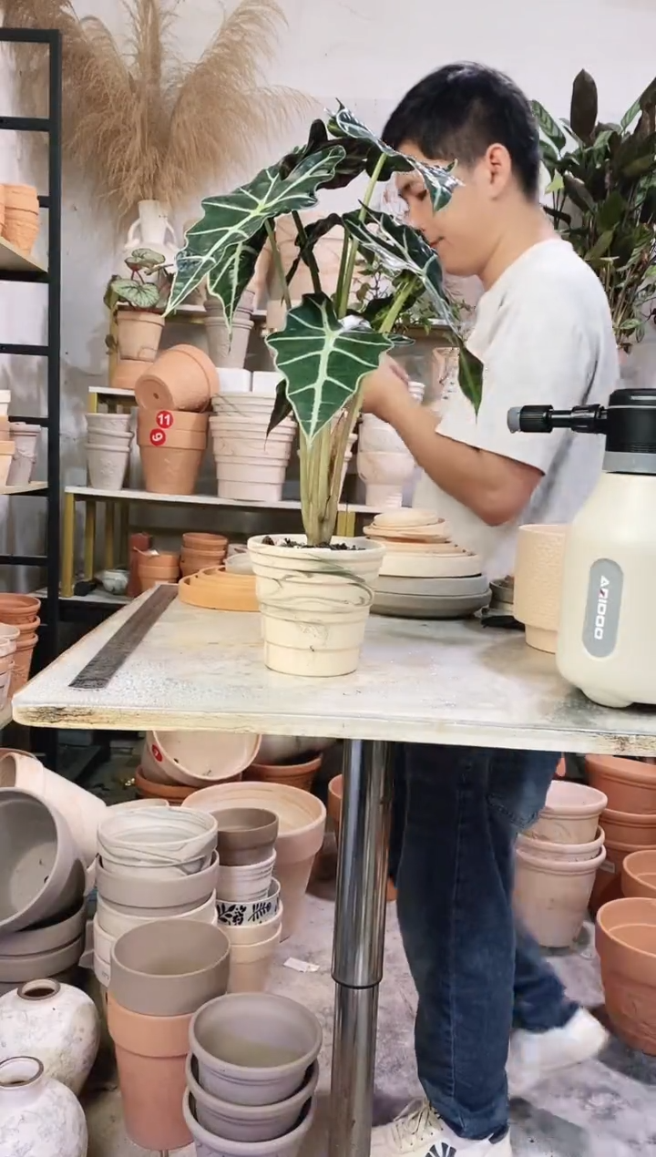 13*12绿白陶竹节 1盆无托